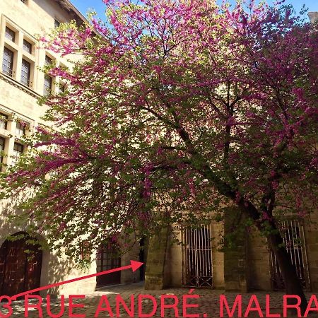 Appartement A 50 M De La Place Aux Herbes Uzes Exterior photo