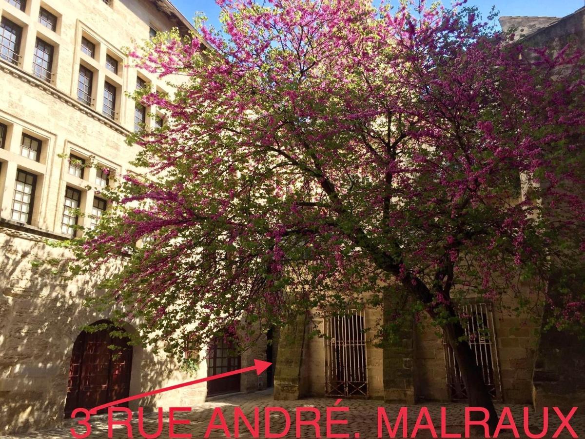 Appartement A 50 M De La Place Aux Herbes Uzes Exterior photo