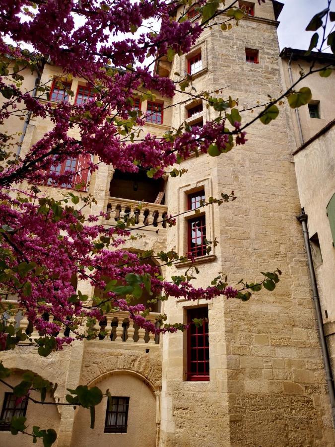 Appartement A 50 M De La Place Aux Herbes Uzes Exterior photo